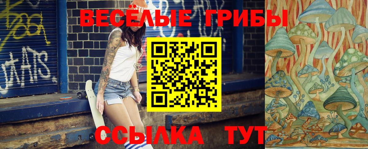 купить наркоту  Вход с VPN  Мытищи  Псилоцибиновые грибы Psilocybine cubensis 
